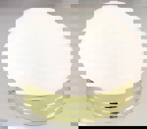 PB 1 60W MED CEIL MUSH